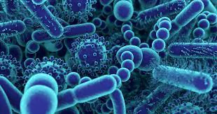 Infeksjoner oppstår ved at bakterier klarer å passere kroppens barrierer og får mulighet til å binde seg til en celle.